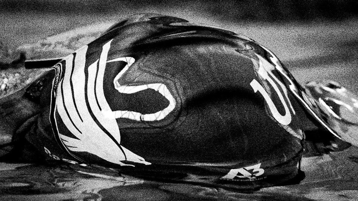 UNT Swim & Dive tweet media