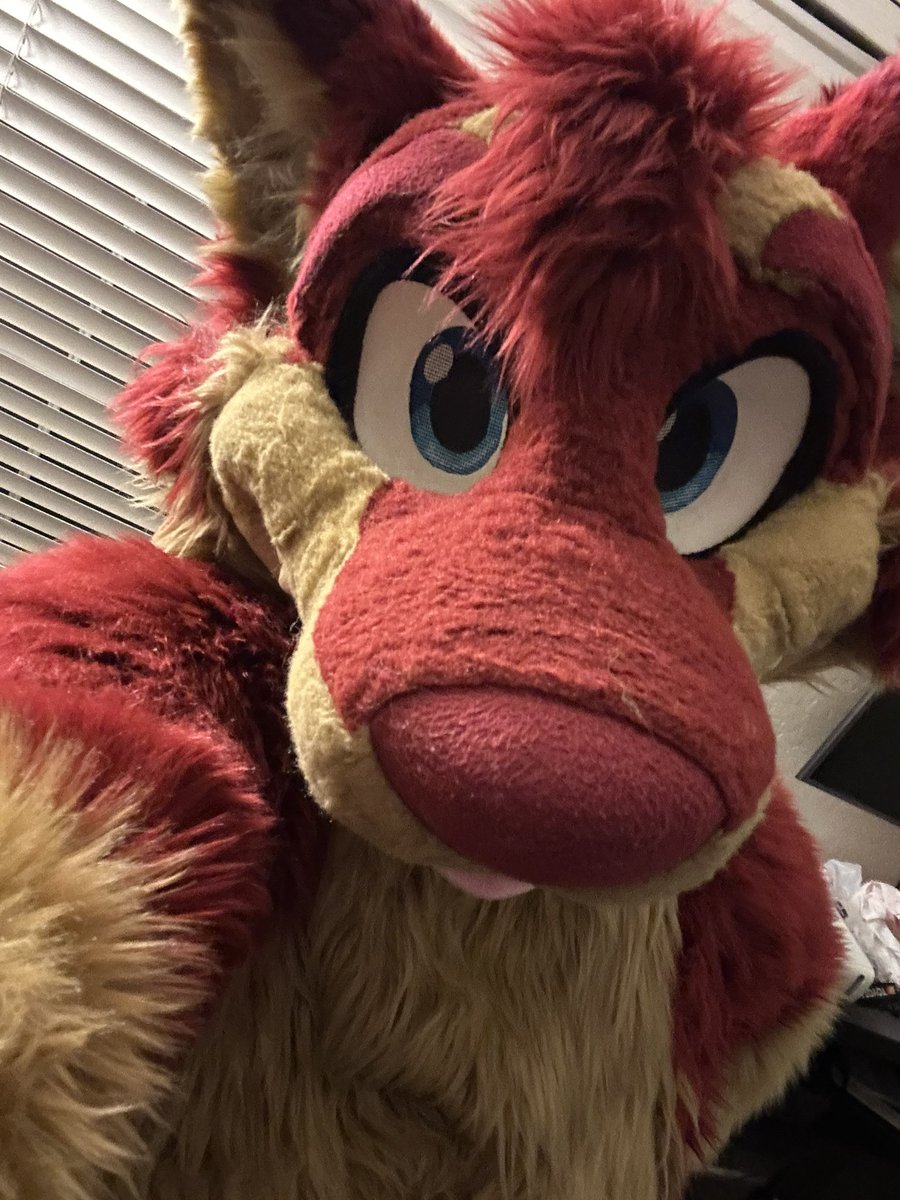 Herro! 
I’m Peachy, a Gryphon who loves being in the forest, driving their 4Runner, and dancing in the rain. Sometimes you’ll see Willow, my forest owlderg. And more recently you’ve met Prescott. Goofy yote brain I run around as
If you see me, come say