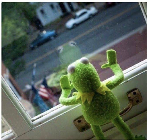 Esperando que llegue andreani con la suscripcion de <a href="/Viners_ar/">Viners - We Love Vinos</a> <a href="/mromeropasman/">Manuel Romero Pasman</a>