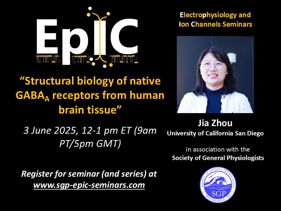 sgpweb's tweet image. Join us for the next SGP EpIC Seminar on Tuesday, 3 June, at 12:00 pm Eastern featuring a talk by Jia Zhou, “Structural biology of native GABAA receptors from human brain tissue.” As ever, registration is free and all are welcome. sgp-epic-seminars.com