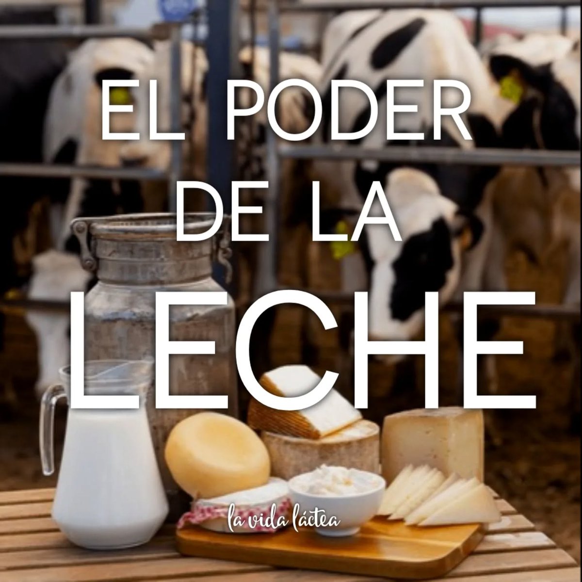 Algunos datos lecheros para continuar reconociendo #ElPoderdelaLeche y celebrando el #DiaMundialdelaLeche:

La producción de leche es sostenible porque tiene impacto positivo en lo social, económico y ambiental...

#WorldMilkDay #EnjoyDairy #ThePowerofDairy #Elpoderdeloslacteos