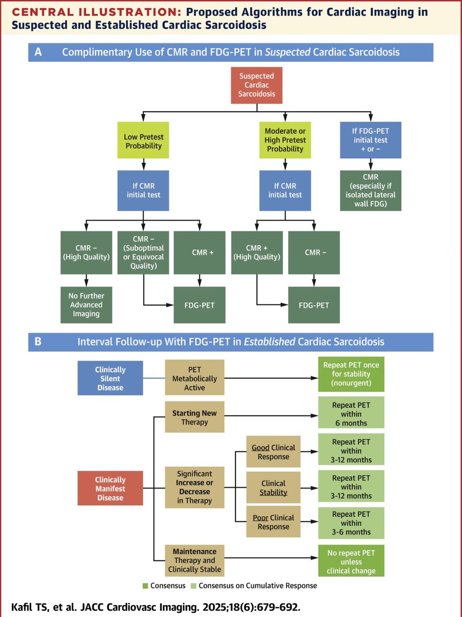 Ronald Witteles (@ron_witteles) on Twitter photo Excited to have participated in this #Delphi study for the management of 🫀#sarcoidosis, just published in <a href="/JACCJournals/">JACC Journals</a>. Covers lots of controversial topics in #sarcoid management. sciencedirect.com/science/articl… Excited to have participated in this #Delphi study for the management of 🫀#sarcoidosis, just published in <a href="/JACCJournals/">JACC Journals</a>. Covers lots of controversial topics in #sarcoid management. sciencedirect.com/science/articl…