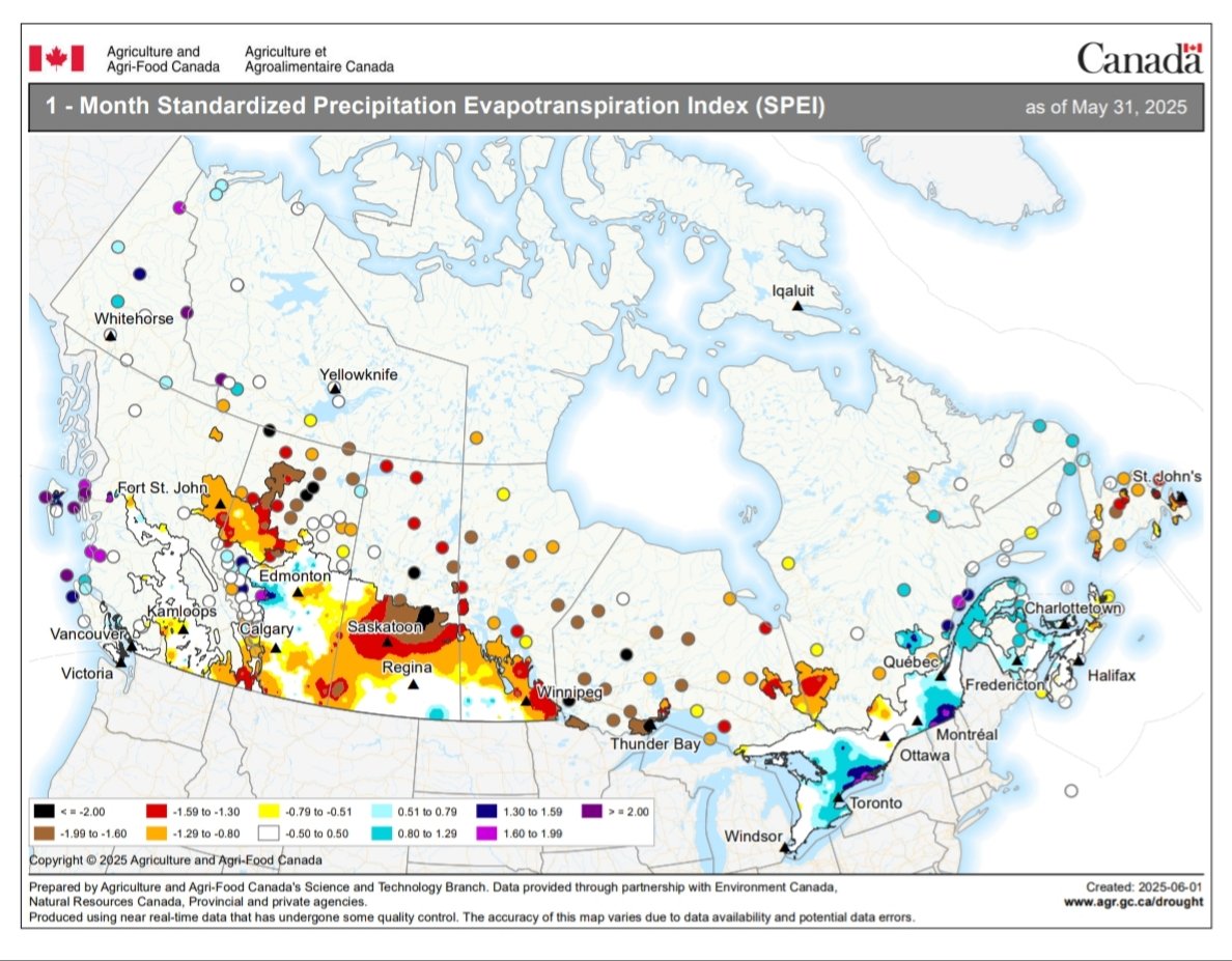Southern Saskatchewan split in two in May: wet in the East and dry in the West. Same in South East Alberta. Strong wind and hot temperature didn't help. If this pattern does not change in June it will be serious trouble for durum wheat...👀

#durumwheat #granoduro #Canada  🇨🇦 🌾