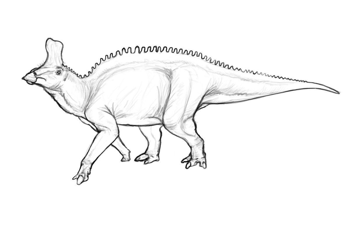 Tsintaosaurus sketch 

#paleoart #dinosaur