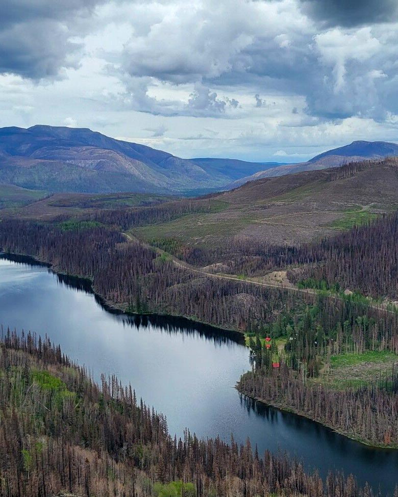 Learn how First Nations communities are leading conservation efforts across BC! Last year, a major expansion of Klinse-za Park in northeastern BC was announced to better protect sacred sites and wildlife habitat. 🌲

The expanded Klinse-za Park now protects nearly 200,000