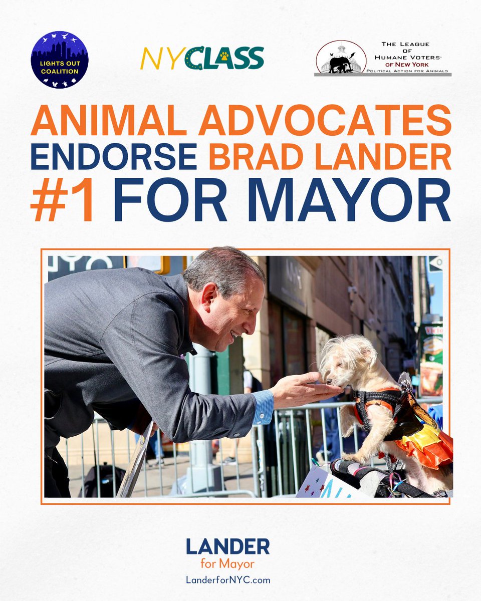 bradlander.bsky.social (@bradlander) on Twitter photo Protecting NYC's wildlife can sure be a bear.
That's why when I'm Mayor, I'll work alongside <a href="/LightsOutNYS/">Lights Out Coalition</a> to ensure the interconnectedness of animals, humans, and our shared environment.
Thank you for your endorsement! Protecting NYC's wildlife can sure be a bear.
That's why when I'm Mayor, I'll work alongside <a href="/LightsOutNYS/">Lights Out Coalition</a> to ensure the interconnectedness of animals, humans, and our shared environment.
Thank you for your endorsement!