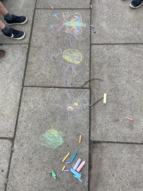 P3KM loved being creative outdoors while learning more about the life cycle of a butterfly today. We used role play to act out the life cycle, got colourful chalk to draw out each stage of the life cycle &amp; used pattern and colour to design beautiful symmetrical butterflies. 🦋🐛