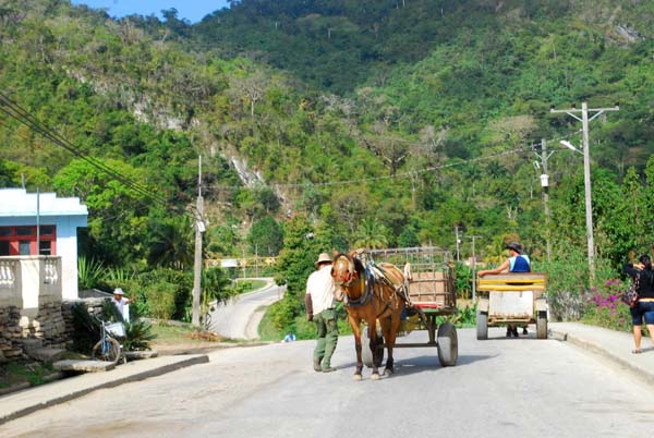 2 de Junio, aniversario 38 del Plan Turquino.
Muchas felicidades!!#PlanTurquino
#Cuba