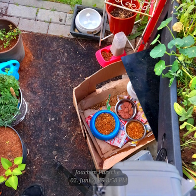 @purschejoachim.bsky.social tweet media