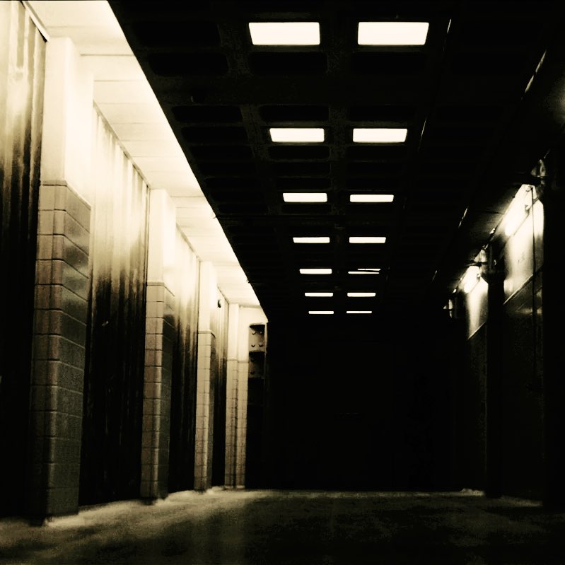 ­ ­ ‍ ᵈ͟ᵒ͟ᵒ͟ᵐ͟ᵉ͟ᵈ ­ ­ ‍ ₜₒ ­ ­ ‍𝒮͜͡𝙷𝙸𝙽𝙴 .ᐟ ‍ tweet media