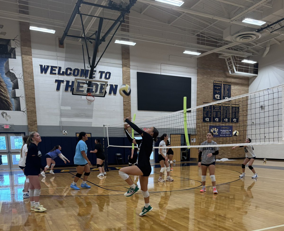 Great first day of Open Gym 🔥 

Excited for the grind ahead and all the progress we’ll make this summer-the work starts now! 🏐🐻💙💛