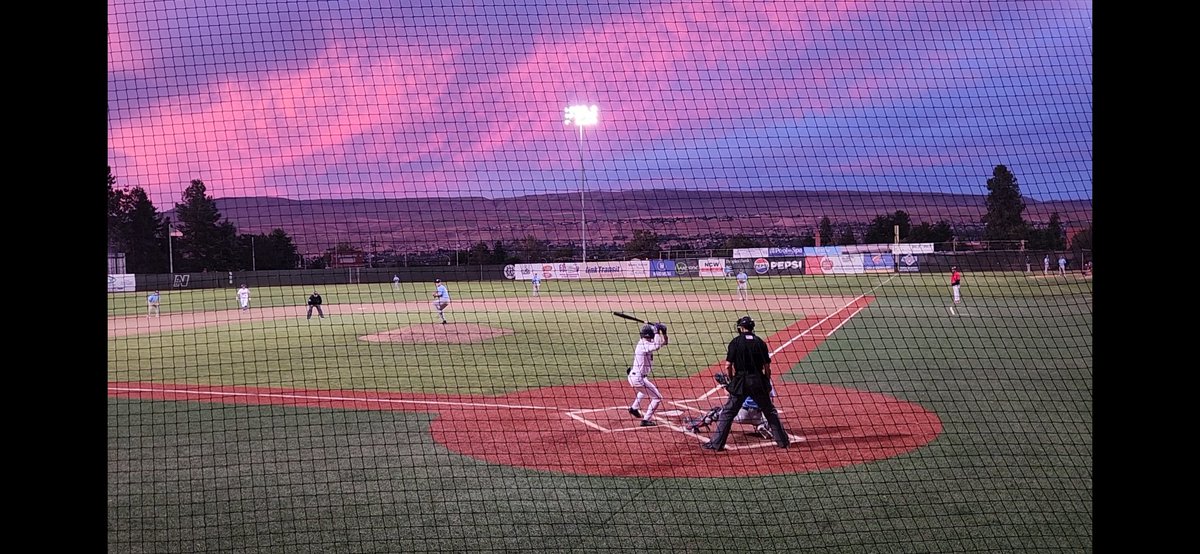 Curtis Bean tweet media