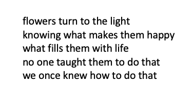 A #tanka poem for a Monday's summer evening #NaTankaMo #tankapoetry #tankapoem #haikupoem #haikupoetry #senryu