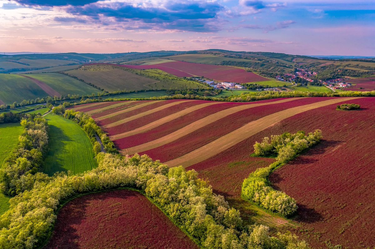 Incredible pictures taken near Velké Bílovice, South Moravia. Photos: Konstantin Zhdanov.