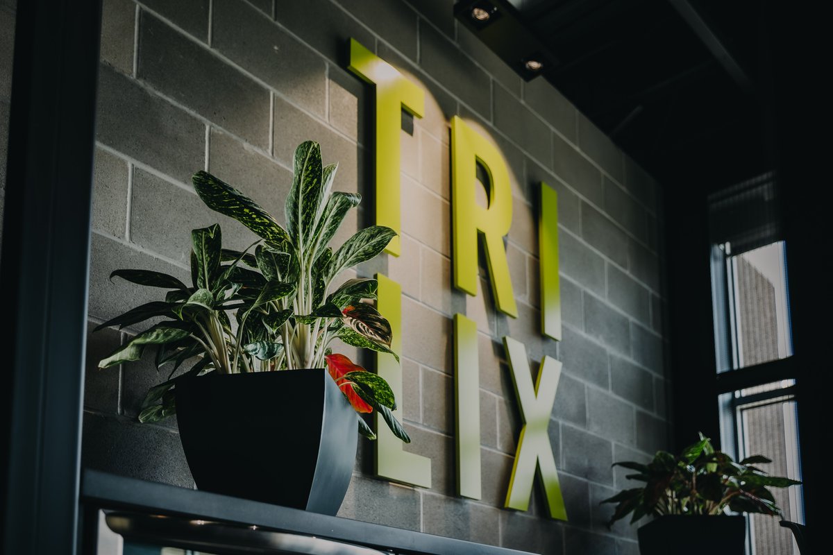 Where great ideas sprout. 🌱