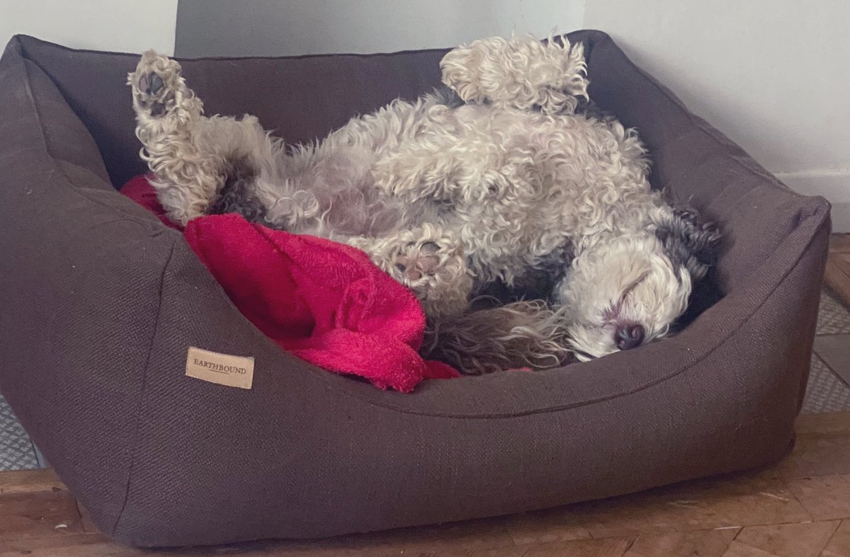 BeMoreBob tweet media