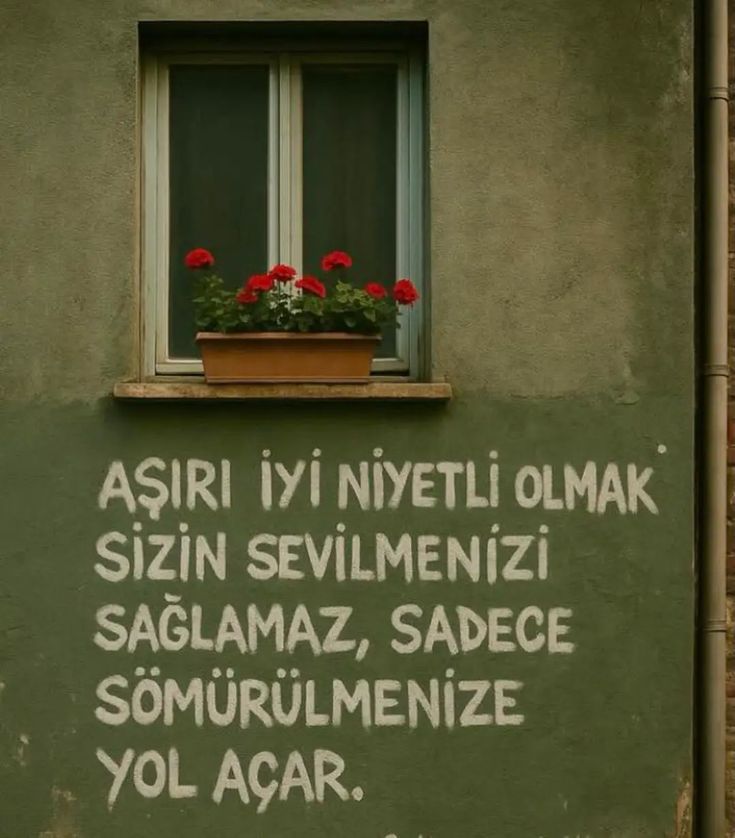 ayaserenat's tweet photo. https://t.co/08QokWFO6d