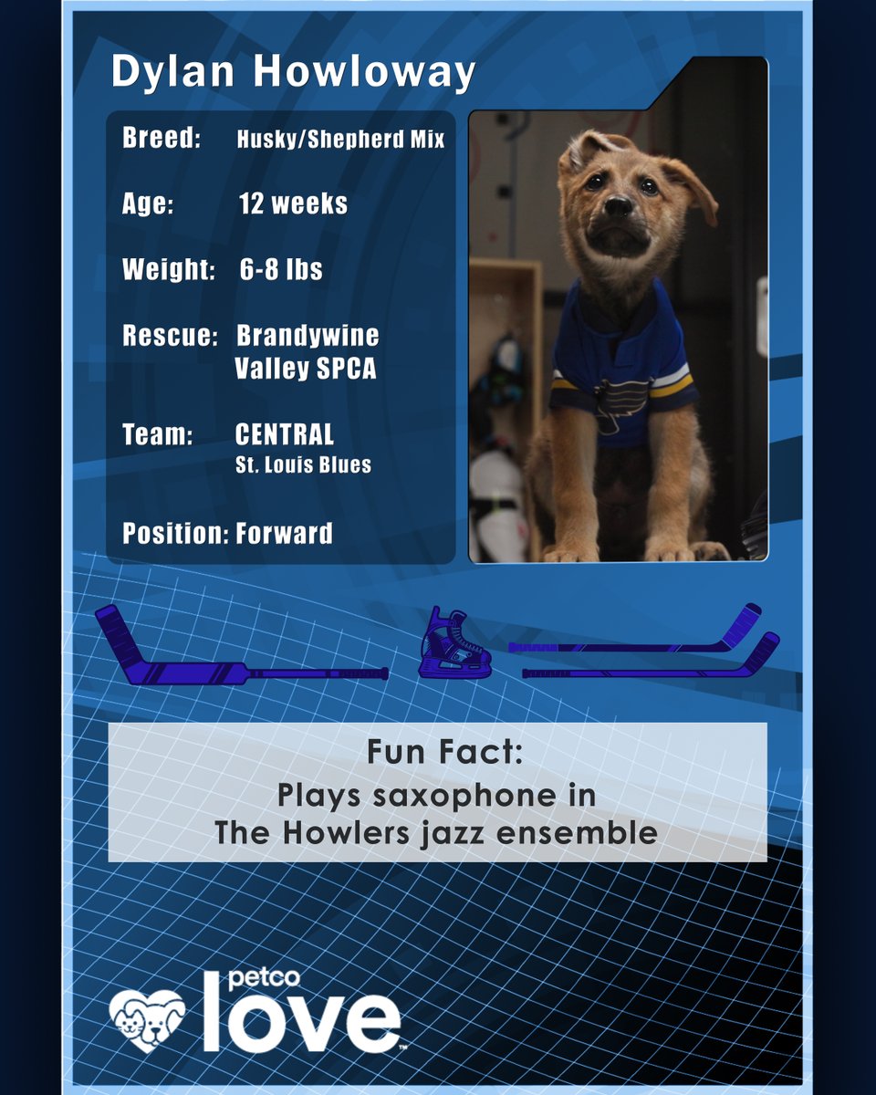 Certified good boy Dylan Howloway 🐶 

Cheer on Dylan and his adoptable friends in the 2025 Stanley Pup! Airing on <a href="/truTV/">truTV</a> on June 6 at 4:30 p.m. CT and <a href="/NHLNetwork/">NHL Network</a> on June 8 at 6 p.m. CT.