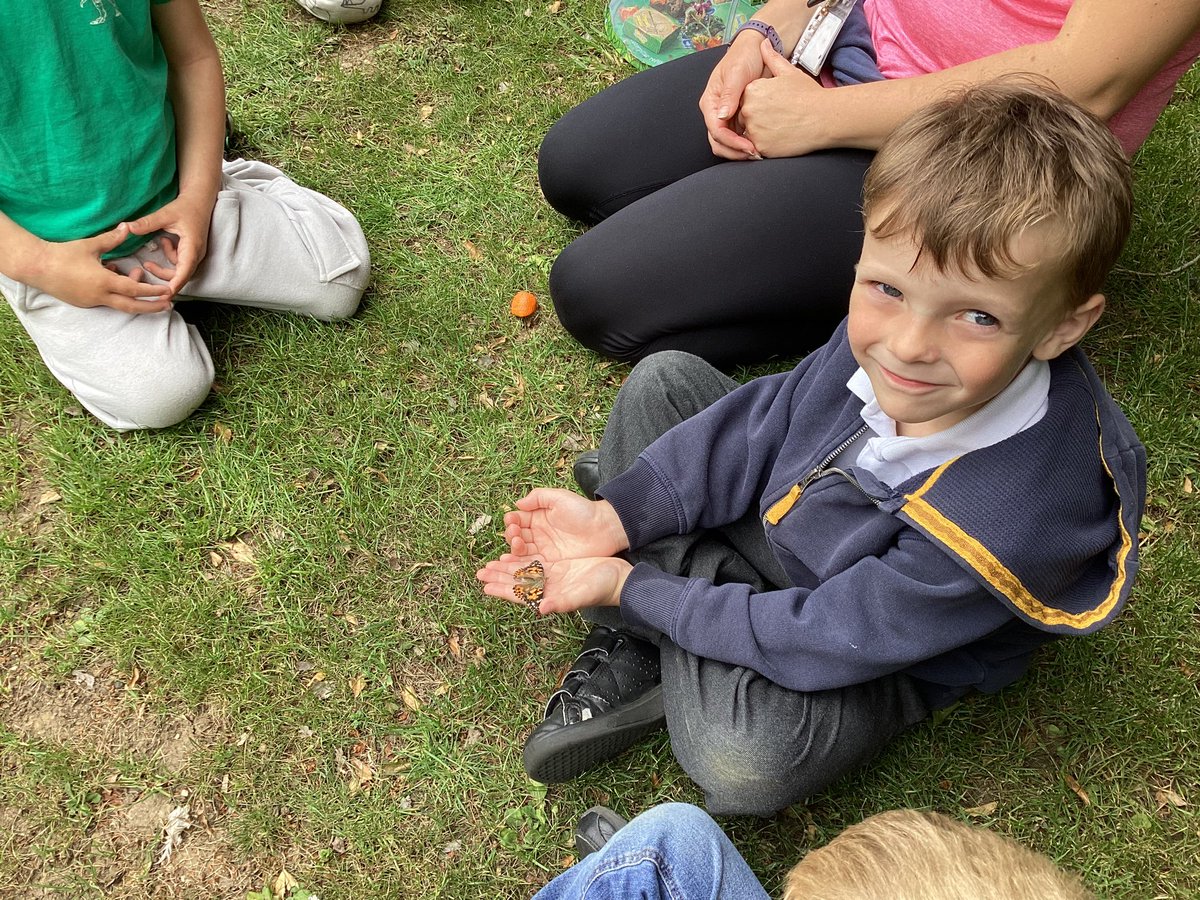 We have loved watching our caterpillars grow and change and today we released 4 beautiful butterflies 🦋
