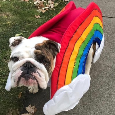 DrakeUGriff's tweet image. #NewProfilePic