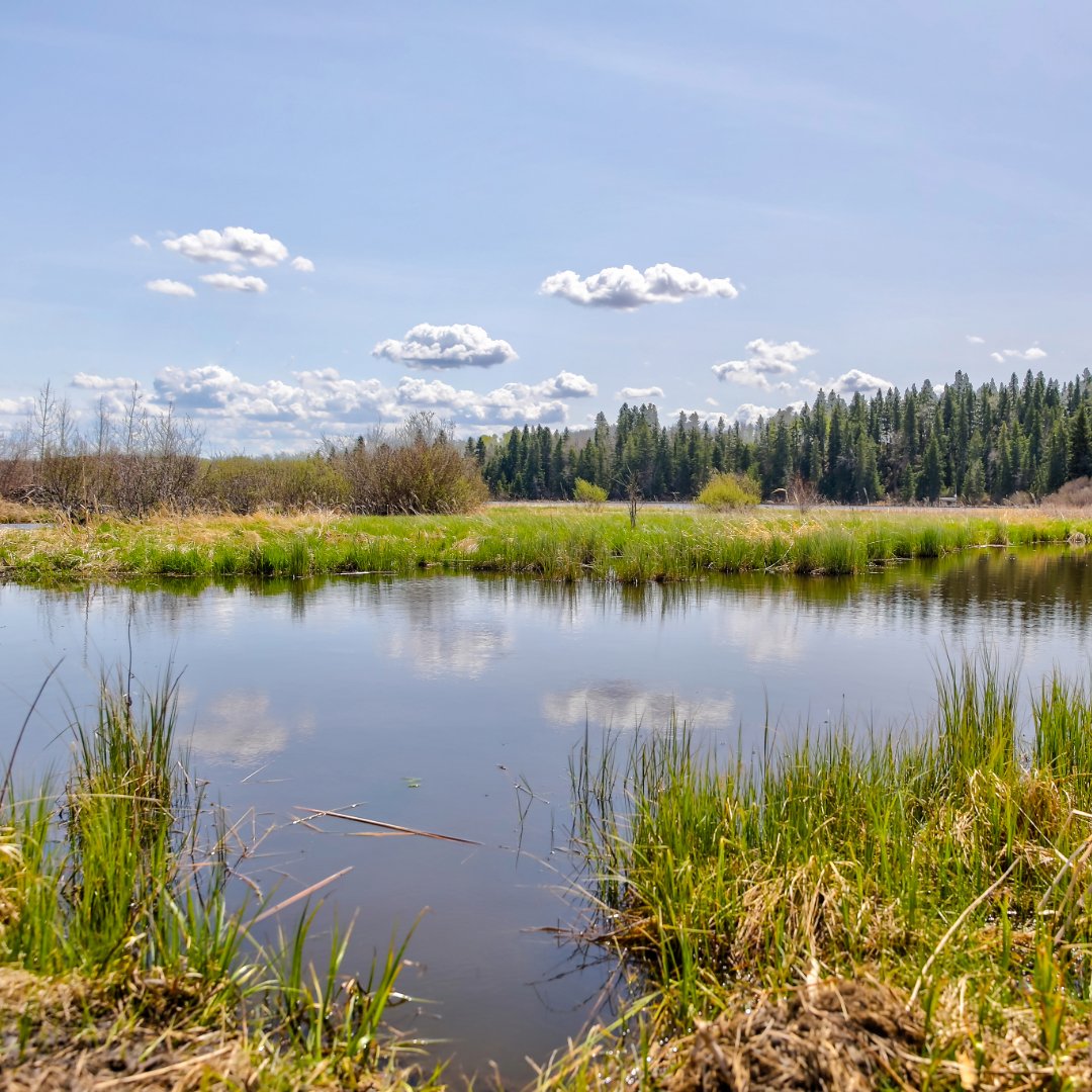 Help Shape Alberta's Water Future 💧
The Government of Alberta is seeking public input to enhance the province's water management system. 

Public input is open until June 30, 2025.

Visit alberta.ca/water-availabi… to read up on all the information and participate