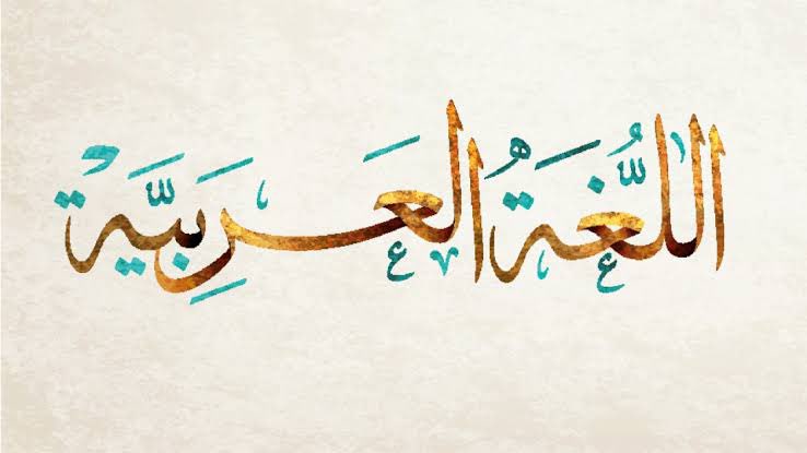 تروح فرنسا او المانيا او ايطاليا او اسبانيا او روسيا كل هذه الدول وغيرهم يستخدمون لغتهم الرسمية في جميع المجالات الجامعات والوظائف والادوية والتعاملات ، لكن عندنا في أغلب الدول العربية صارت الانجليزية هي السائدة في التخصصات الجامعية او شروط التوظيف او التعاملات الاخرى ، للاسف!