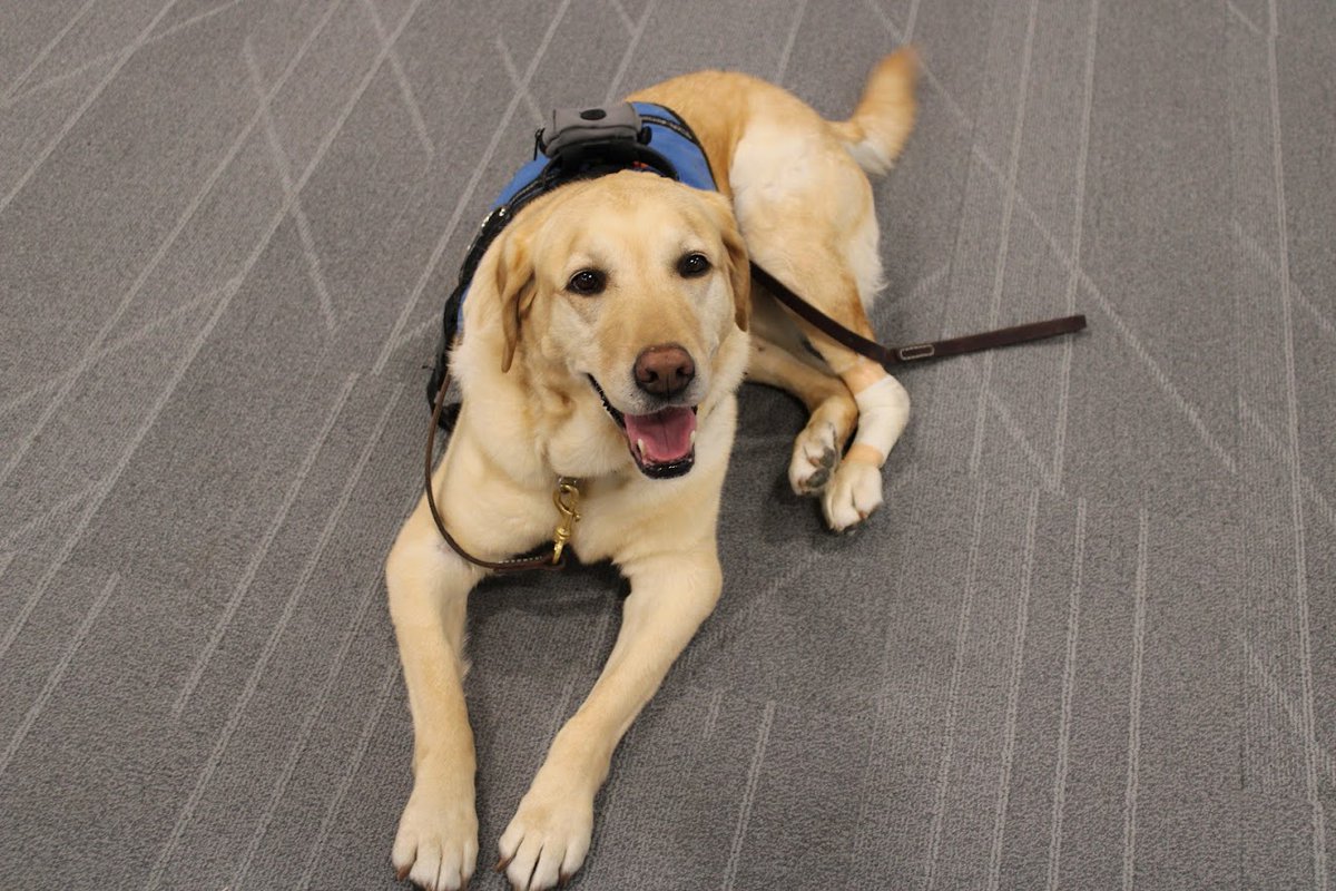 prairiepride@crprairie.org tweet media