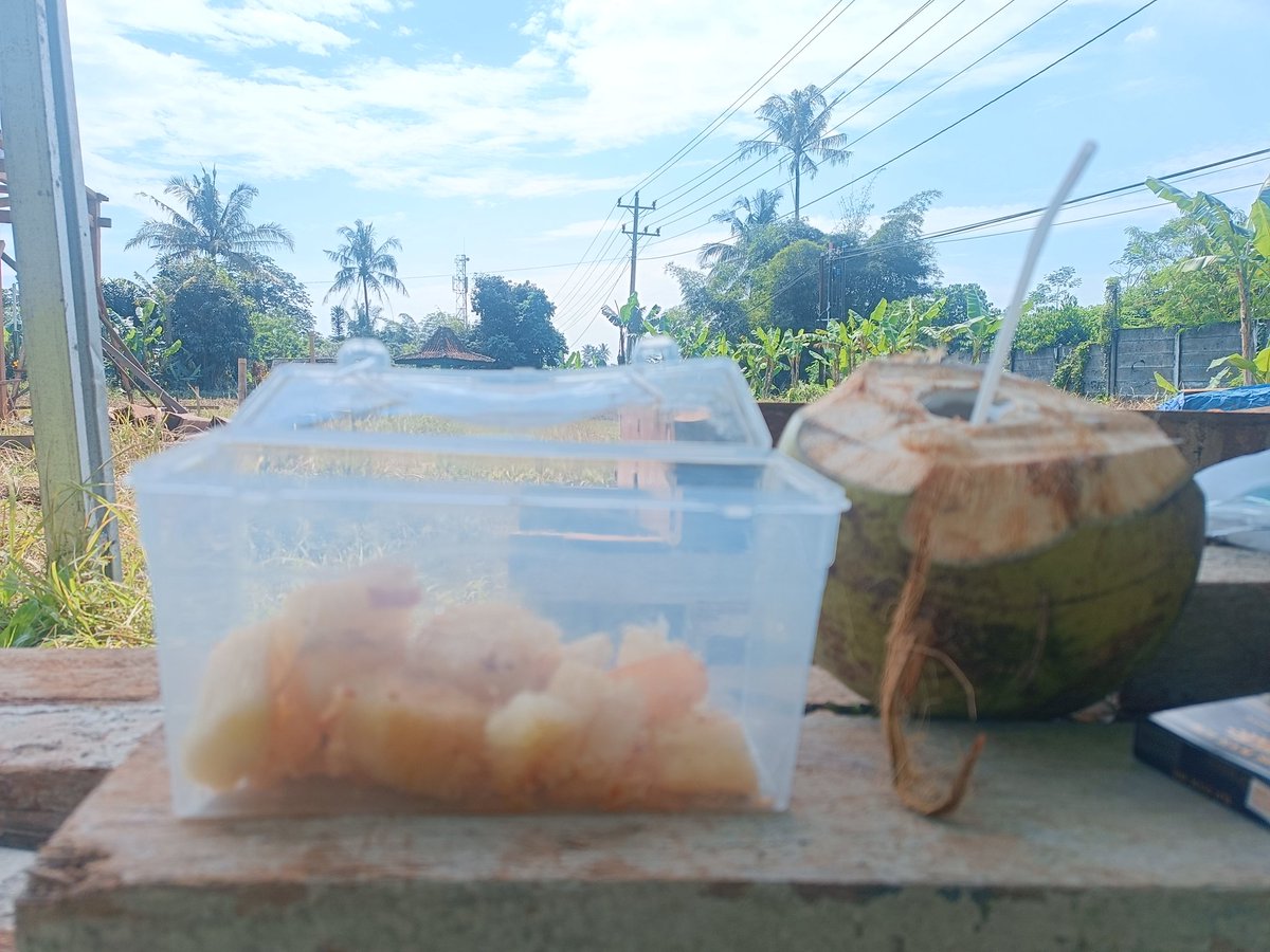 jacintha_box's tweet photo. @arieparikesit Singkong boleh dikirim orang dr kebon, digoreng empyuur merekah, dinikmati bareng2 di proyek. Kelapa juga tau2 di lapangan kemarin ada yg ngirim 2 buah, nikmat bener alhamdulillah.
Mini piknik gelar tikar, si kecil pulang sekolah teriak happy โบ
#LifeInMagelang https://t.co/u7HXI5pp4w