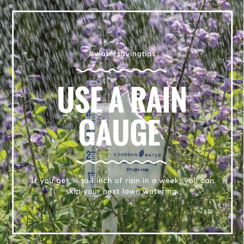 Do you water your yard regularly with a sprinkler system? Use a rain gauge to help determine how much water your yard actually needs. Learn more about wise watering: bit.ly/2iFdlPT