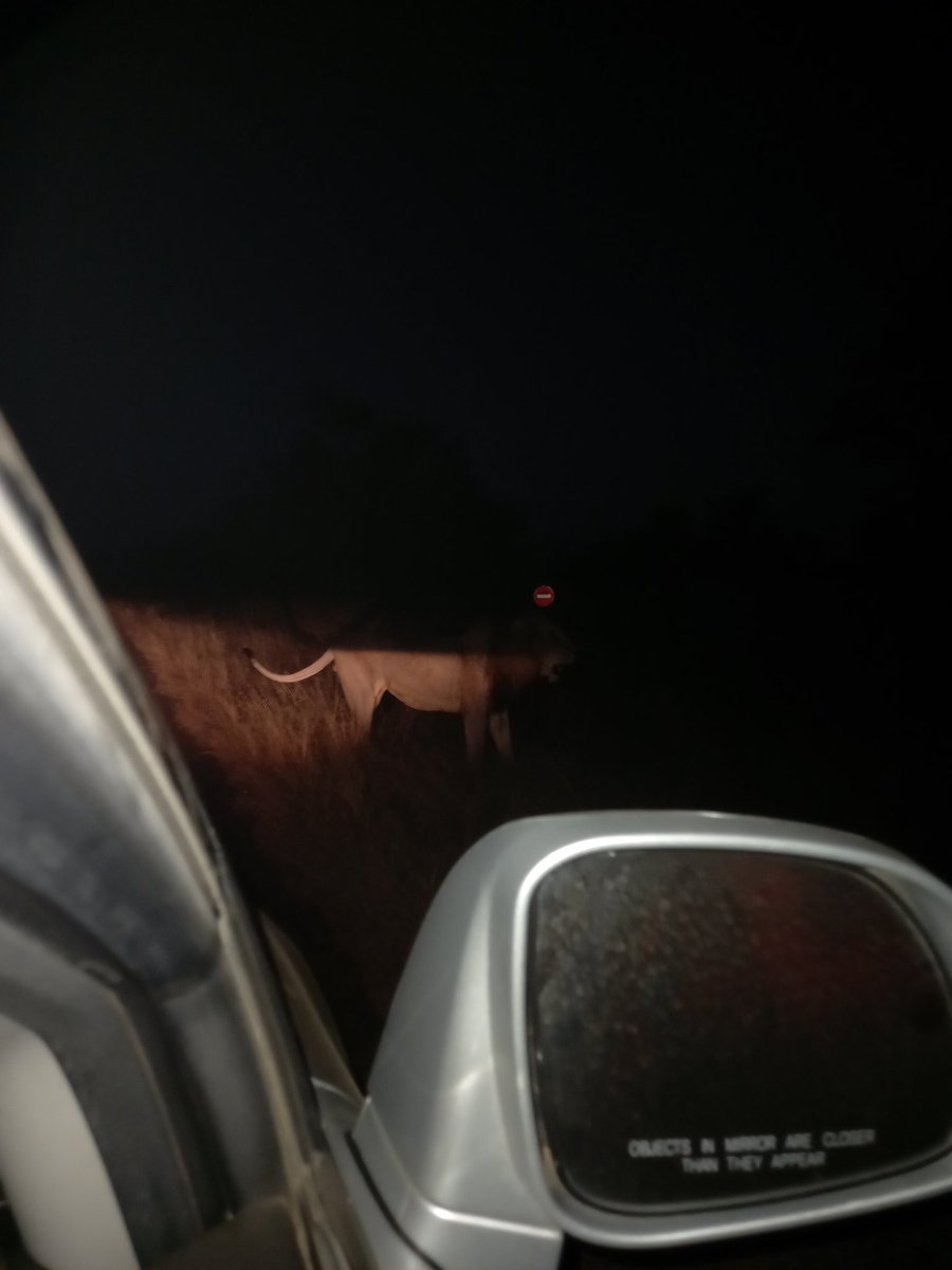 RodRheeLoaded's tweet image. Naturally, I can&apos;t get over it🔥