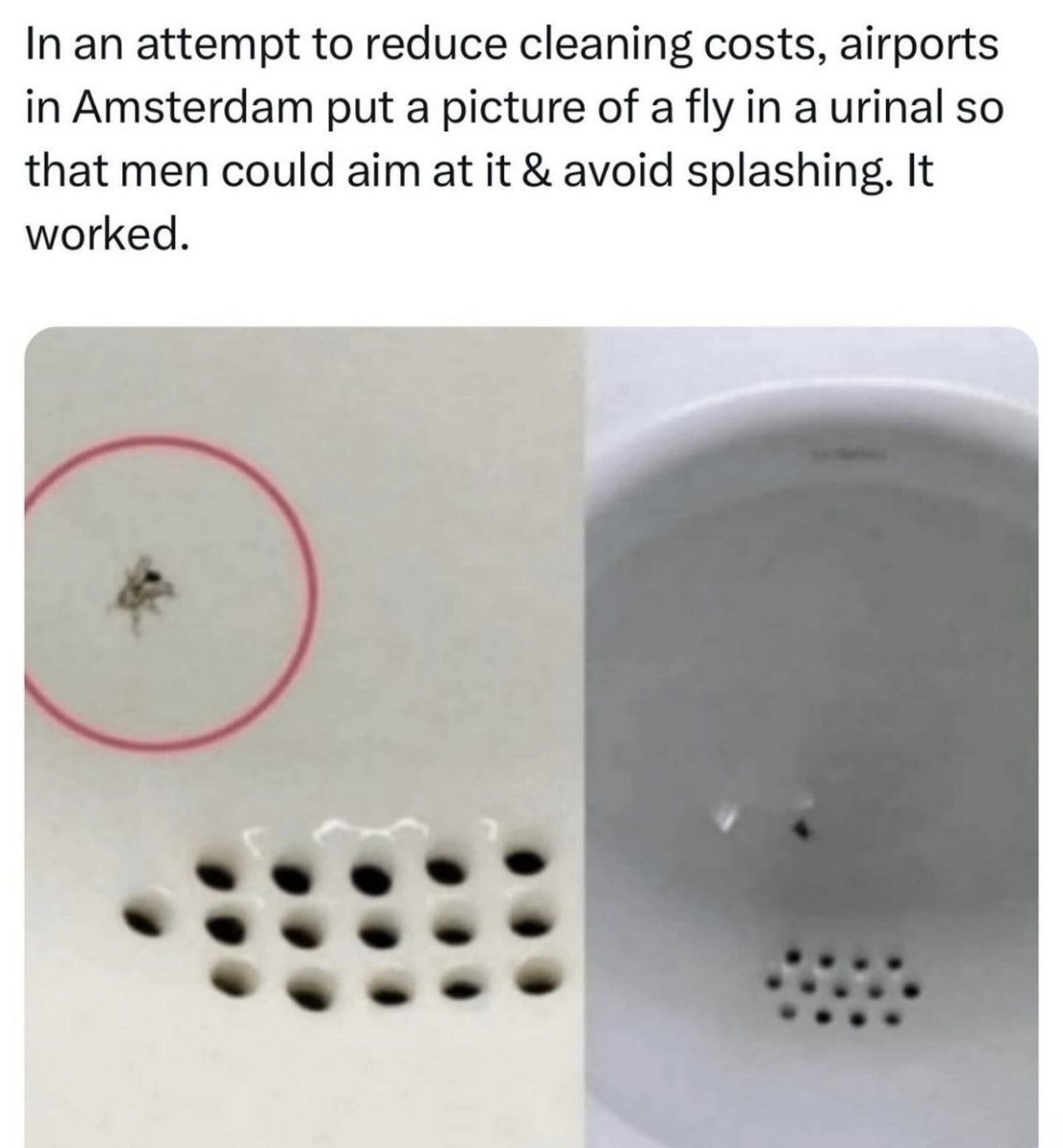 Dudes Posting Their W’s tweet media