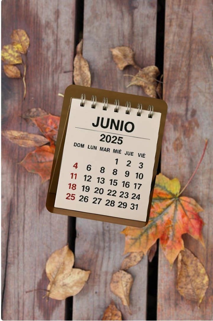 🥂Por un Junio lleno de cosas bonitas!!
Que esté mes cada uno de nosotros pueda encontrar momentos para sanar,crecer y compartir amor con los demás.
#BienvenidoJunio 🍁☃️🍂