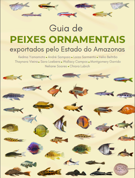 Ufam lança guia inédito sobre peixes ornamentais amazônicos exportados pelo Estado do Amazonas. x.gd/sgP35