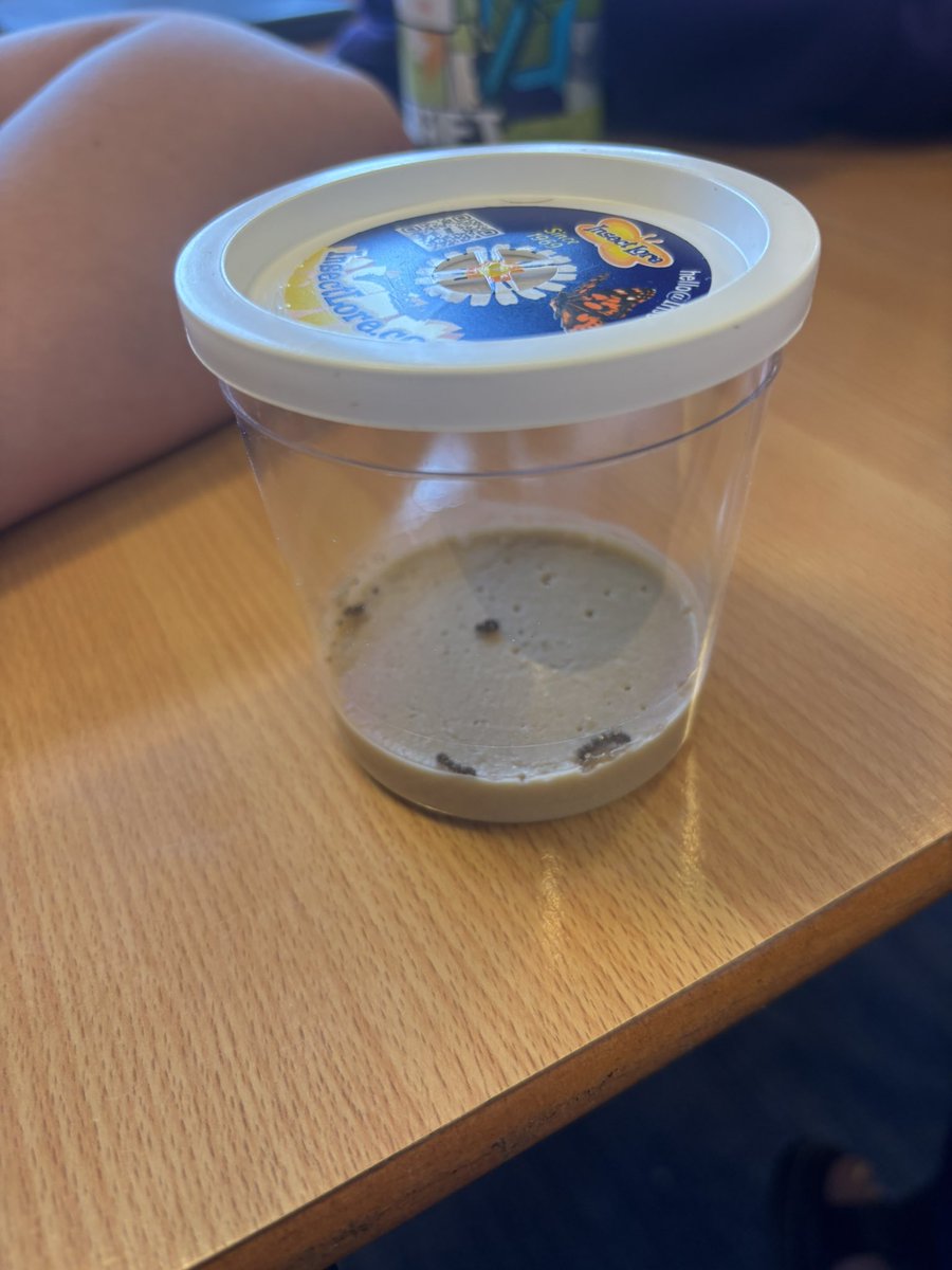 MissCarbery tweet media