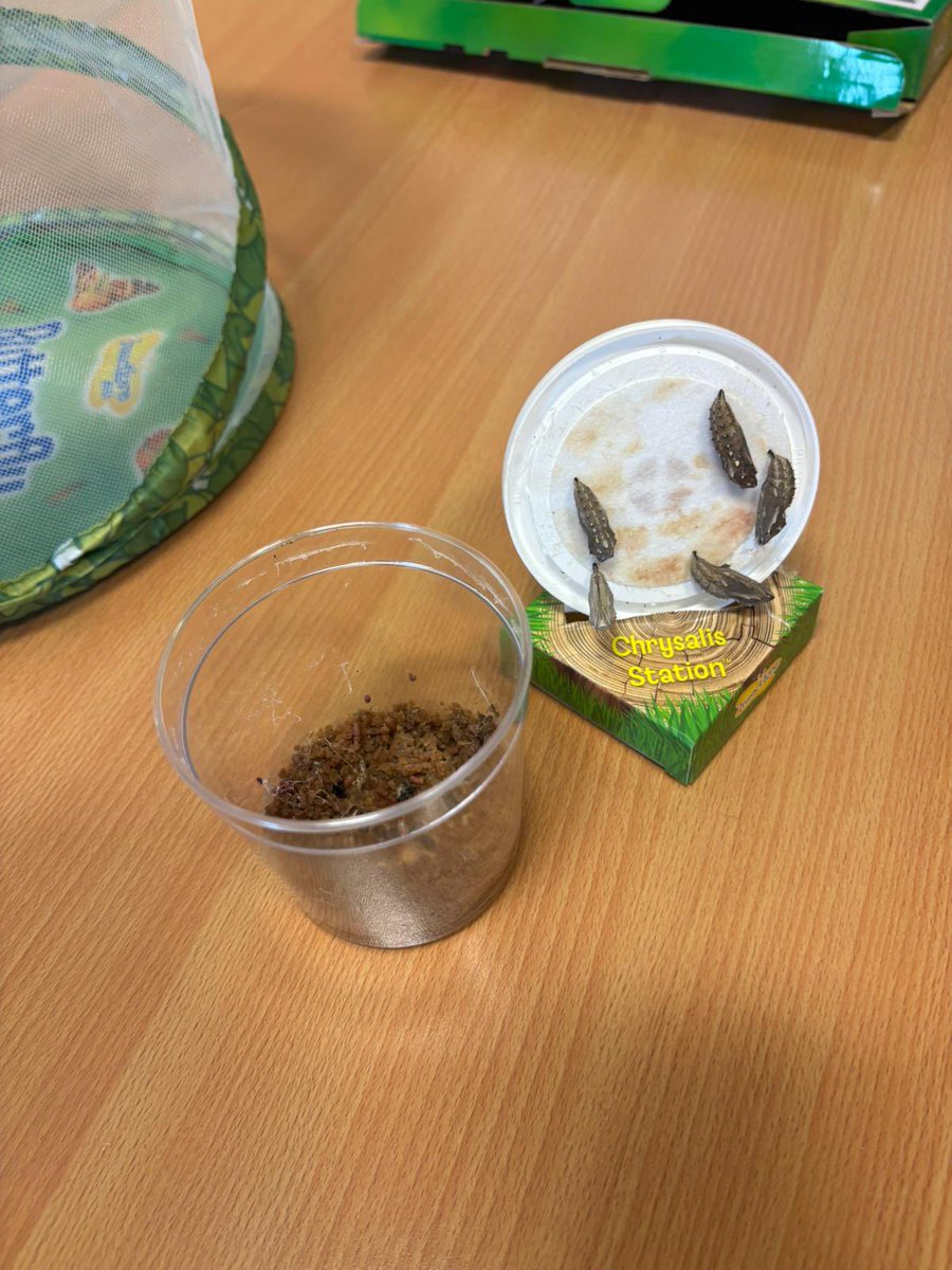 MissCarbery tweet media