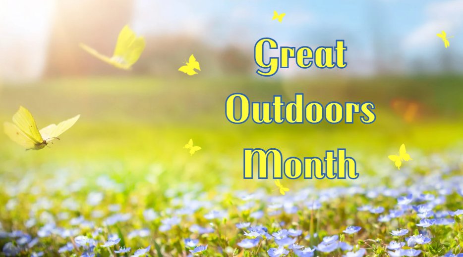 June is #GreatOutdoorsMonth Get out and enjoy nature or stay in and read about the great outdoors with your next great read on Sora.