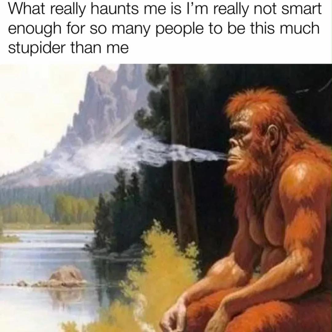 Dave's Chaotic Brain 🦥 (@durghan) on Twitter photo 