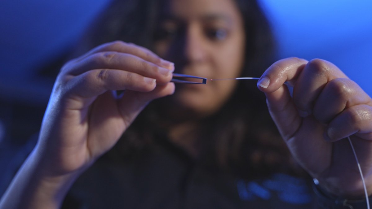 INicorps's tweet image. 🌟 Impact Spotlight: Rochester Photonics Startup Raises Funding 🌟
#icorps alum Photonect is revolutionizing optical connections with laser-based tech, with support from the @NSF, @NASA, and @activatefellows. Learn what they're working on now: bit.ly/3GmvJcy