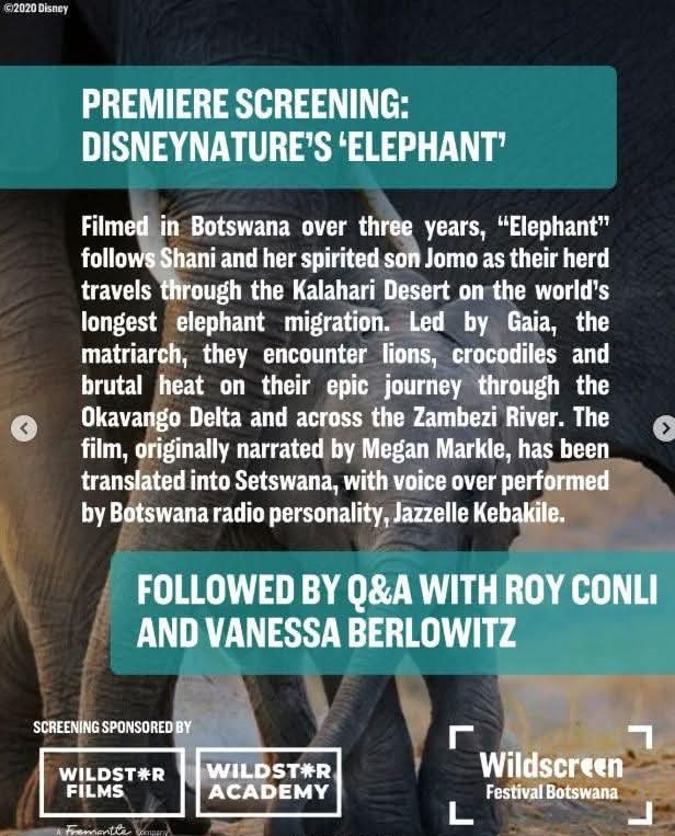 The African Siri (@mskebakile) on Twitter photo When I learnt about <a href="/Disneynature/">Disneynature</a> 's #ELEPHANT (narrated by #MeghanMarkle) in 2020, I wondered if there'd be a Setswana version. A few years later, I got that very role. This month, it FINALLY premiers in Maun during <a href="/WildscreenFest/">Wildscreen</a> ...😊🇧🇼🤍✨#OratileTheOrator #LionessInTheCity When I learnt about <a href="/Disneynature/">Disneynature</a> 's #ELEPHANT (narrated by #MeghanMarkle) in 2020, I wondered if there'd be a Setswana version. A few years later, I got that very role. This month, it FINALLY premiers in Maun during <a href="/WildscreenFest/">Wildscreen</a> ...😊🇧🇼🤍✨#OratileTheOrator #LionessInTheCity