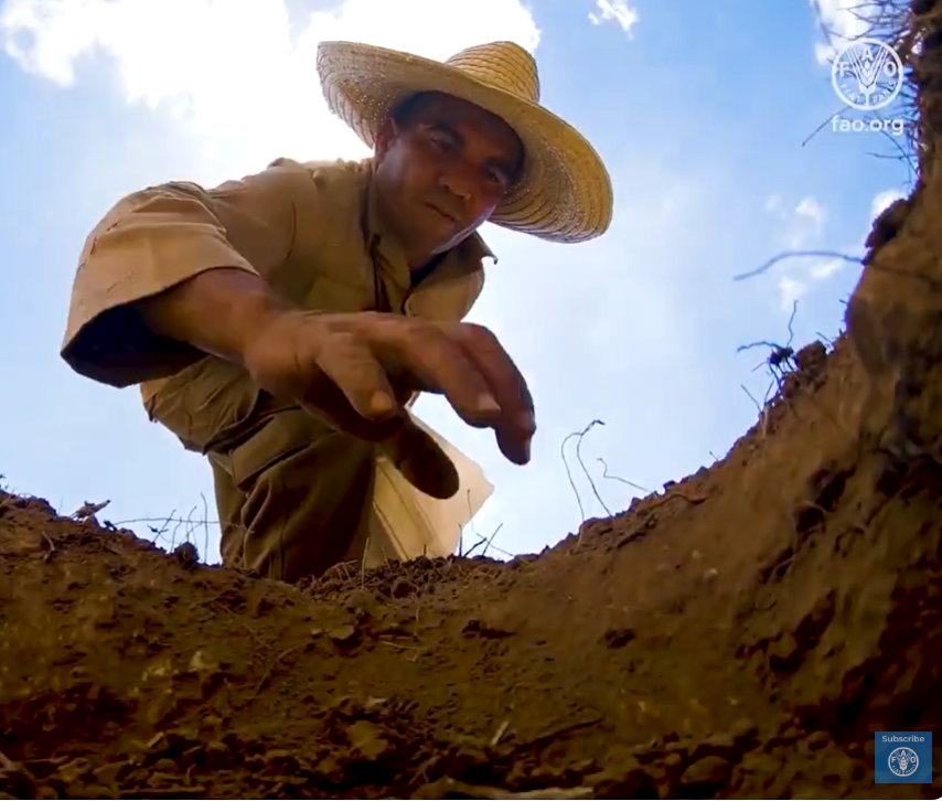 🌱 In #Cuba, farming communities have restored 6,000+ ha of degraded land through the <a href="/FAO/">Food and Agriculture Organization</a> <a href="/theGCF/">Green Climate Fund</a> IRES project.

Healthier soils mean:

✅Stronger harvests
✅Lower emissions
✅Greater climate resilience 

📹Watch how: youtu.be/j_nfJIsq15E

#ClimateAction #SustainableFarming