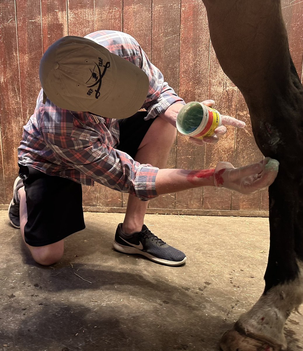 Sometimes I am reminded that my greatest contribution to the Army was as a Combat Medic. The simple act of bringing reassurance and comfort to a young rider and her horse brings its own reward. It’s why we do what we do. In Arduis Fidelis. #medics #horses #kindness