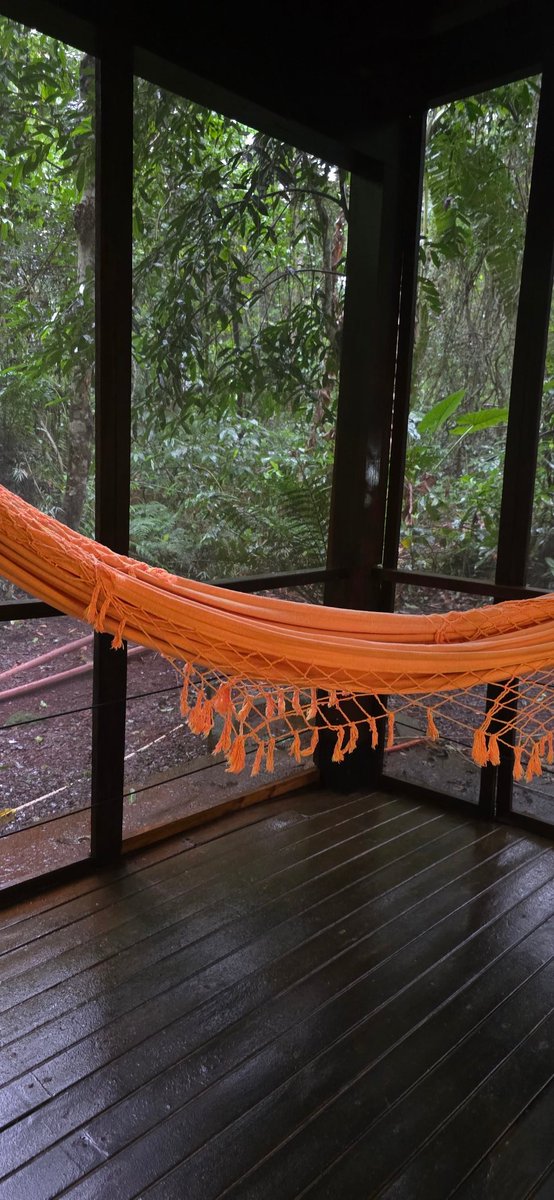 Trancu lo que llueve en la selva...