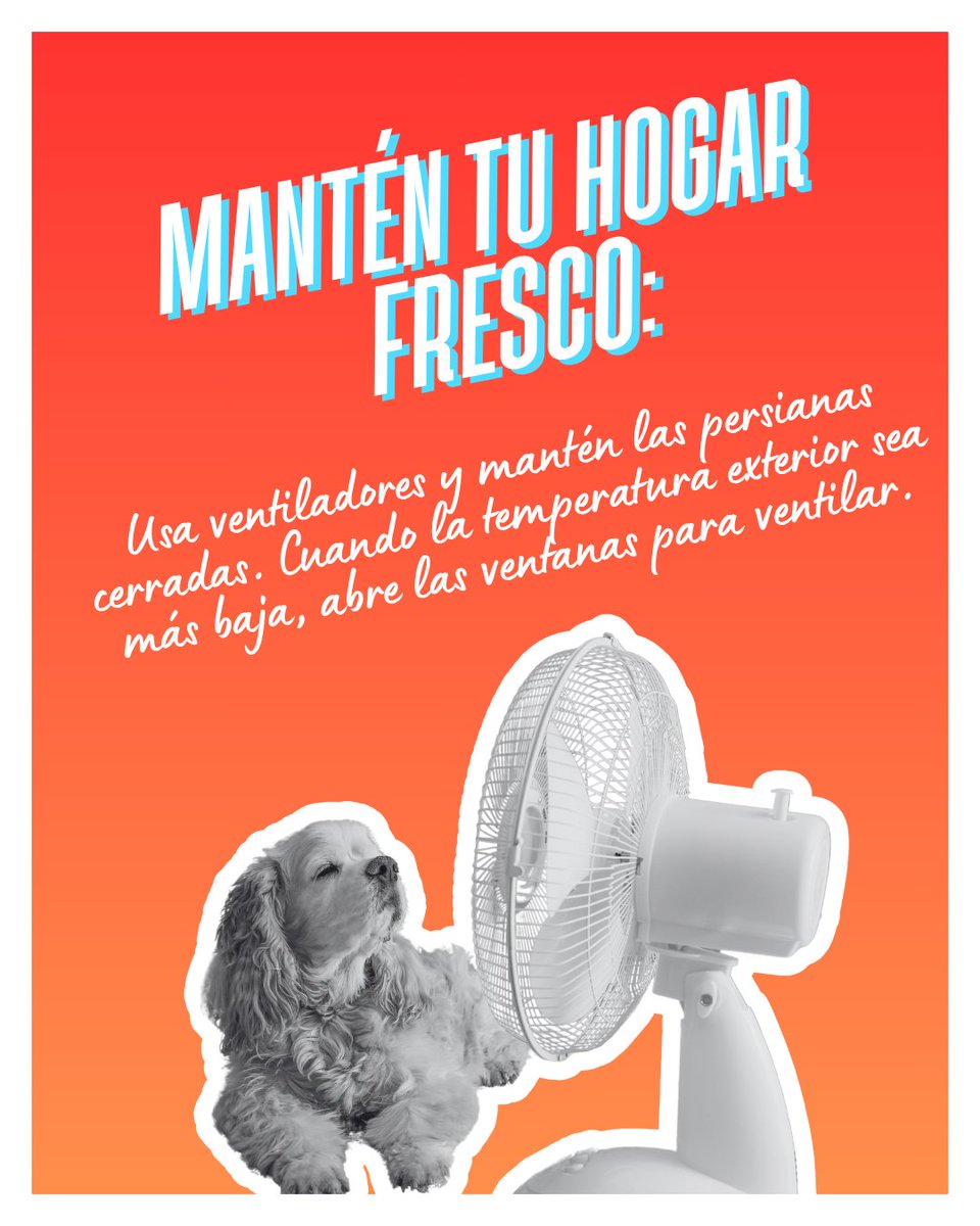 ☀️ Hoy es el #DíaDeAcciónContraElCalor

🥵 Las olas de calor son cada vez más intensas y afectan más a comunidades vulnerables.

🌡️ Aprende a detectar señales de alerta y actúa a tiempo.

💧👒 #VenceElCalor #SaludAmbiental