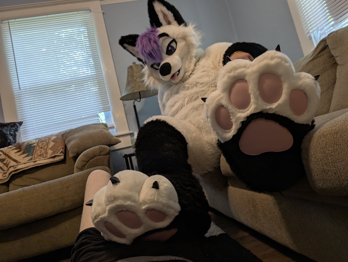 Lavy Paws tweet media