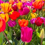 Photo by June Kaye READ 37 QUESTIONS (@junekayewrites)