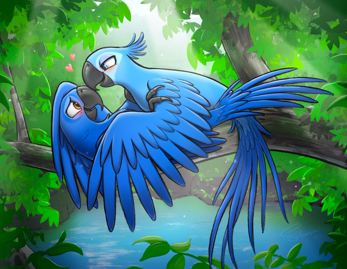 Drew some borbs! 🦜✨
I've always liked these two