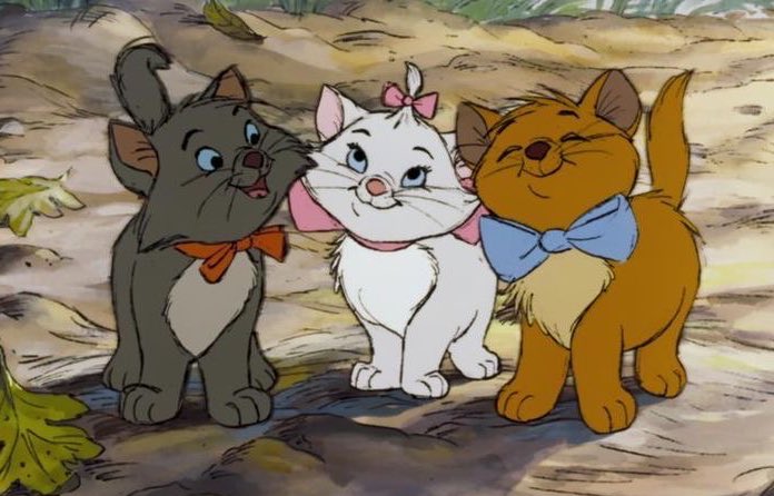 ronaldo, celeste e beto sobral
#GarotaDoMomento