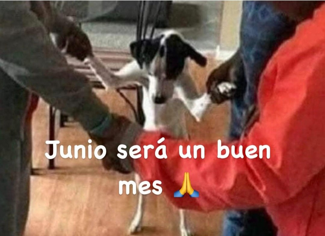 En Júpiter (@en_jupiter_) on Twitter photo 
