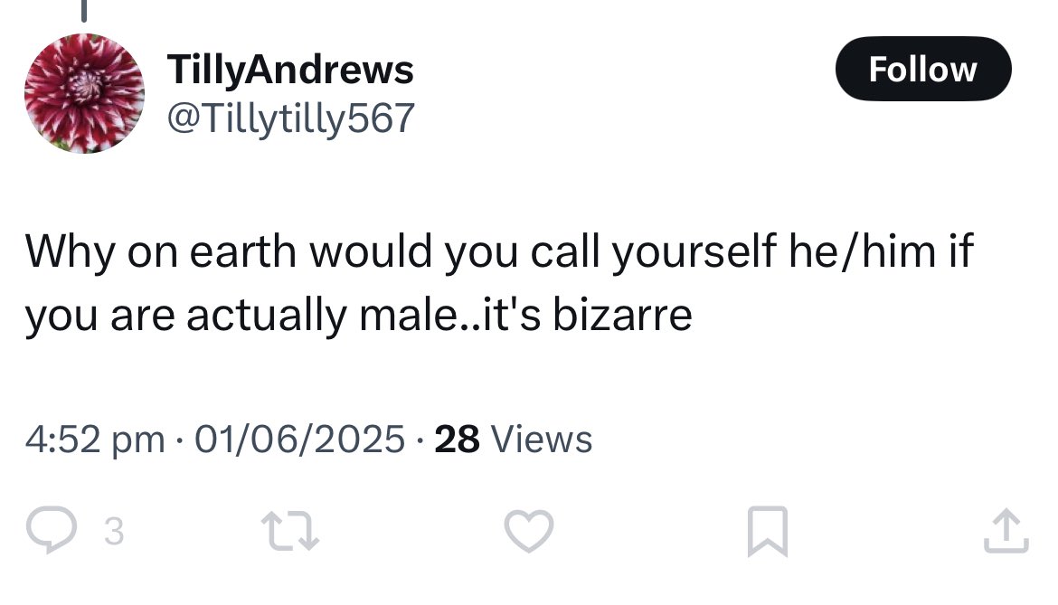 i display my pronouns because terfs call me a woman when i demonstrably am not one