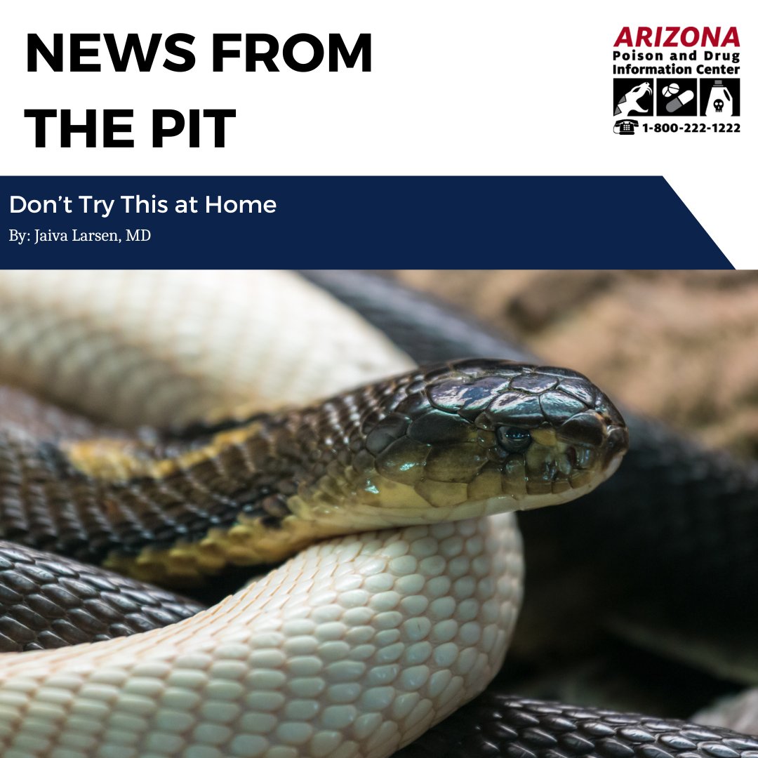 In this month's newsletter, Dr. Larsen discusses Tim Friede's attempt at venom immunity via self-inflicted snakebites and provides a clinical perspective on the matter. Access the newsletter here: azpoison.com/.../june_2025_…
#envenomation #snakebite #venom #MedTox #herpetology